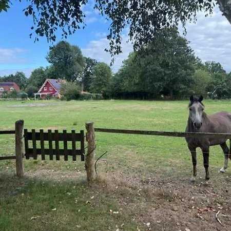 Hygge, Laendliche Ruhe Nahe Verden Und Bremen * Kirchlinteln